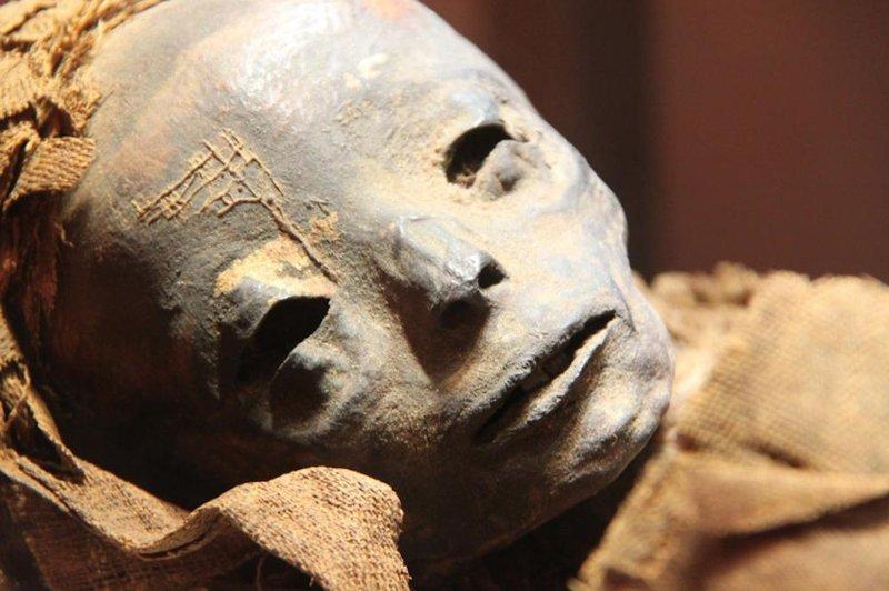Microbes In An Ancient Mummy