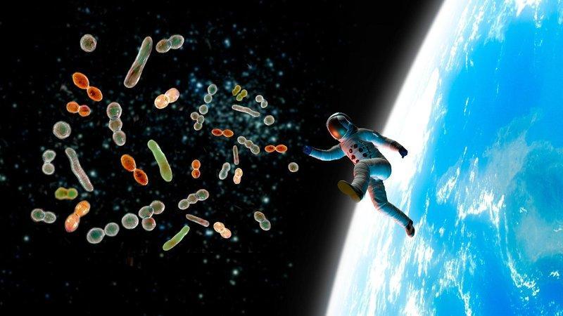 Studying Microbes In Space